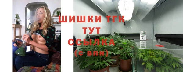 стафф Лабытнанги