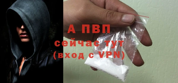 стафф Лабытнанги