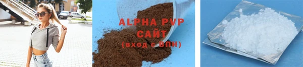 прущие грибы Балашиха