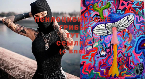 круглые Лагань