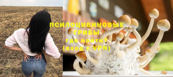 круглые Лагань