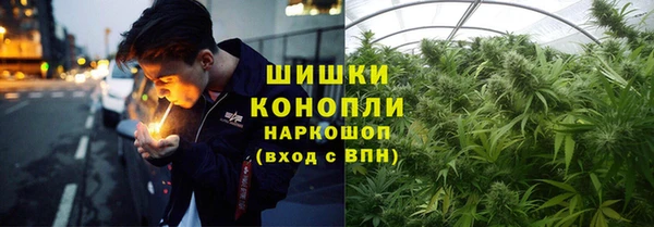мяу мяу кристалл Киров
