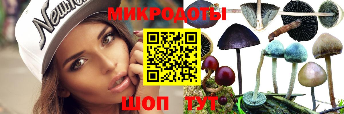 Галлюциногенные грибы мицелий Дербент
