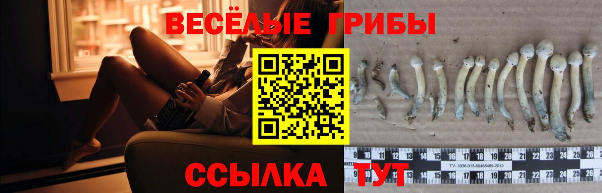 Галлюциногенные грибы Cubensis  как найти закладки  Дербент  Псилоцибиновые грибы ЛСД 